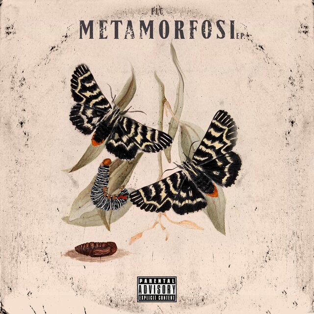 Metamorfosi (Ep.)