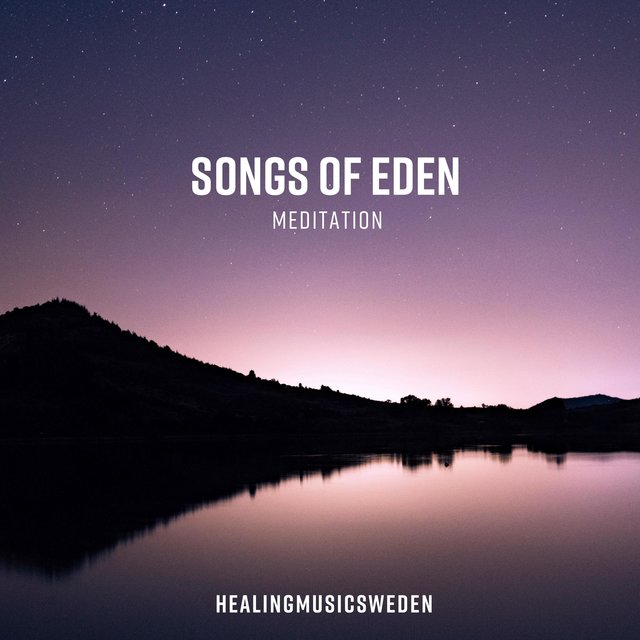 Meditation