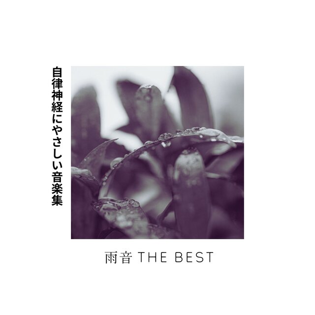 Rain Sounds THE BEST - Music Gentle on the Nervous System