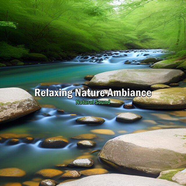 Relaxing Nature Ambience