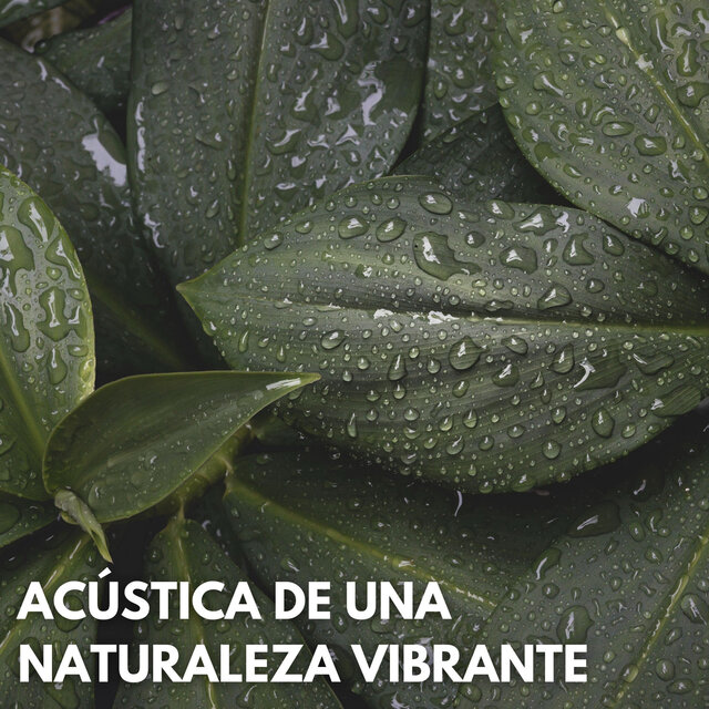 Acústica De Una Naturaleza Vibrante