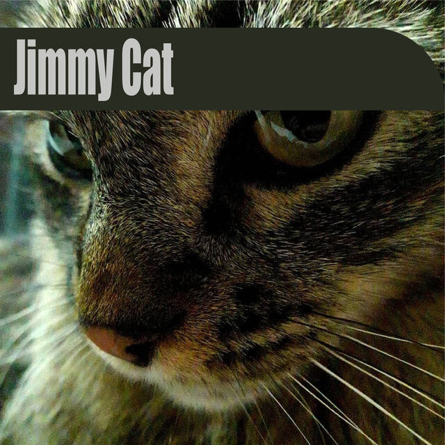 Jimmy Cat