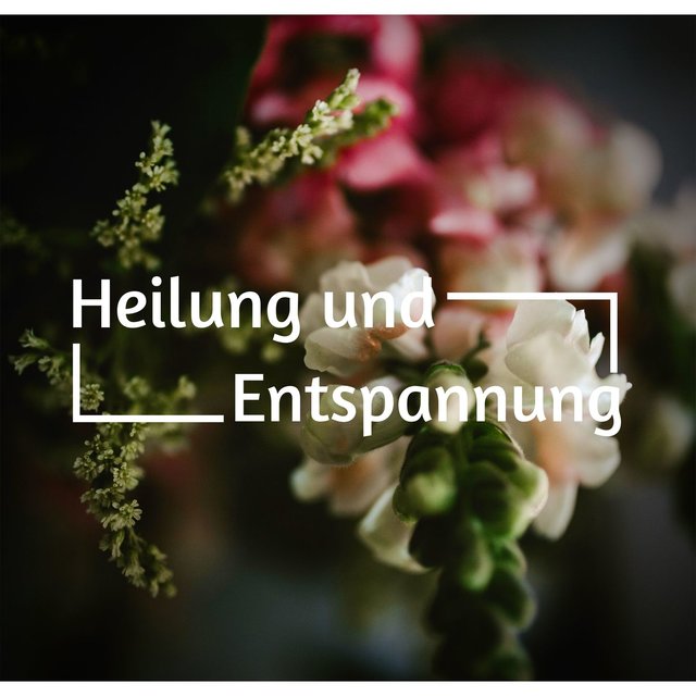 Heilung und Entspannung: Entspannende Musik zum Ausgleich Ihrer sieben Chakren