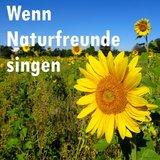 Ein Bett im Kornfeld