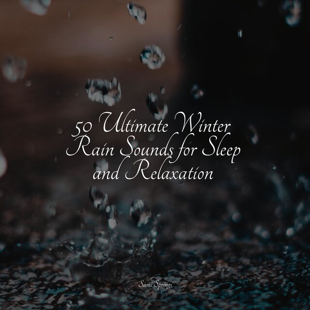 50 Ultimate Winter Rain Sounds for Sleep and Relaxation