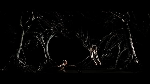 The Trees