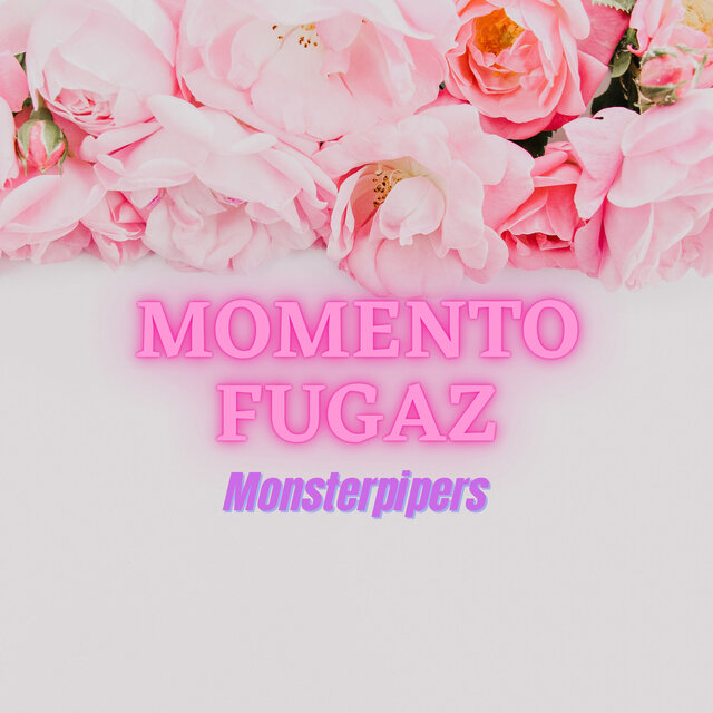 Momento Fugaz
