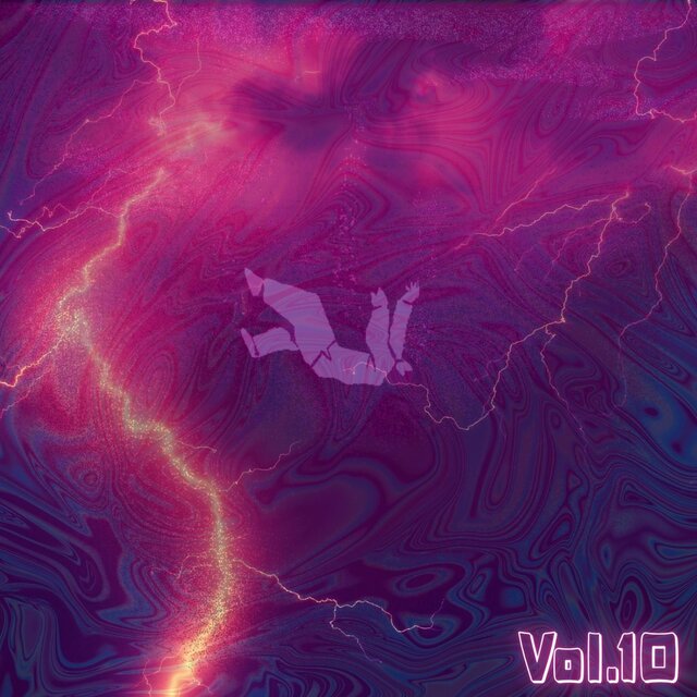 CANCIONES A MI ESTILO, Vol. 10