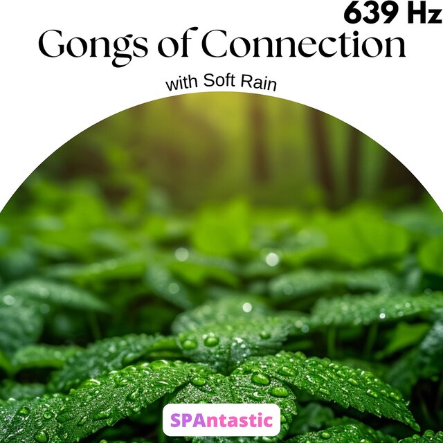Gongs of Connection: 639 Hz with Soft Rain