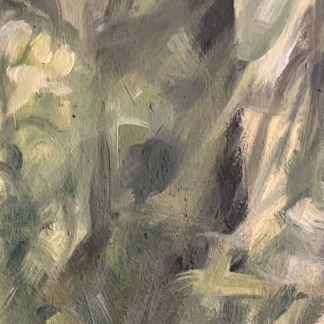Rainforest
