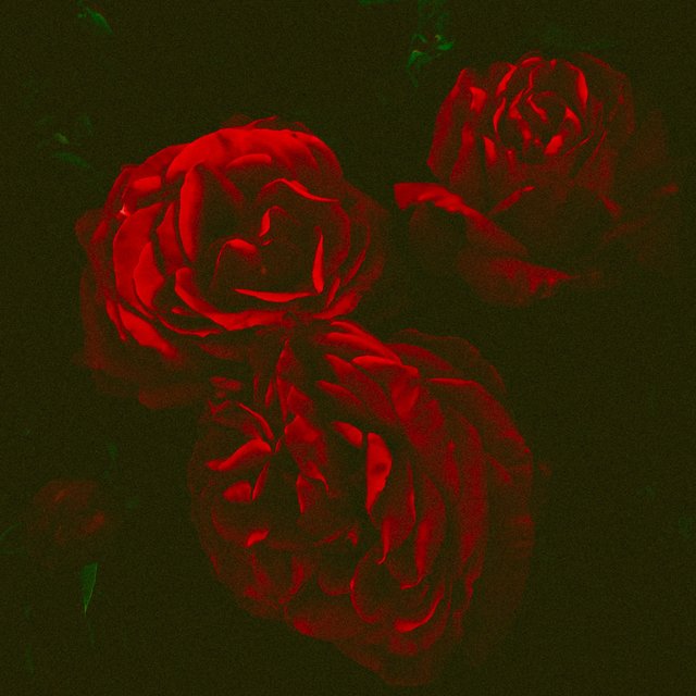 Est. In '96 II