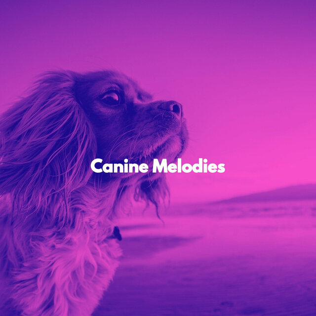 Canine Melodies