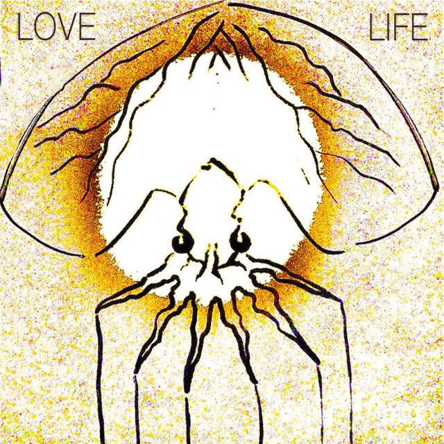 Love Life