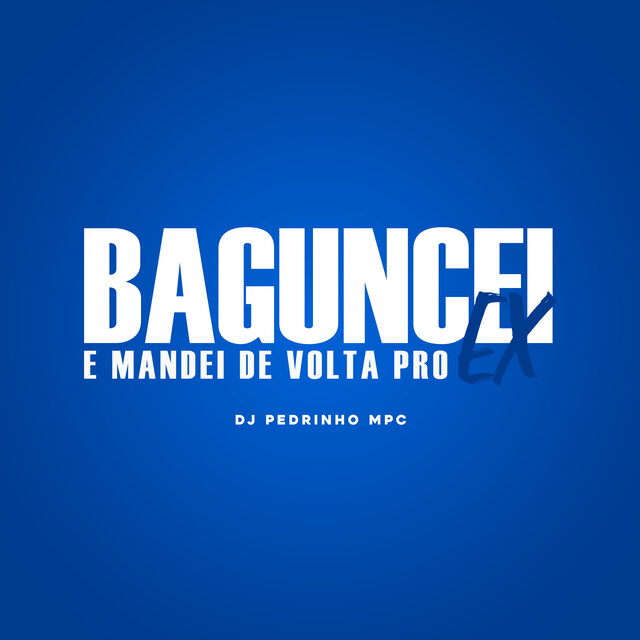 BAGUNCEI E MANDEI DE VOLTA PRO EX