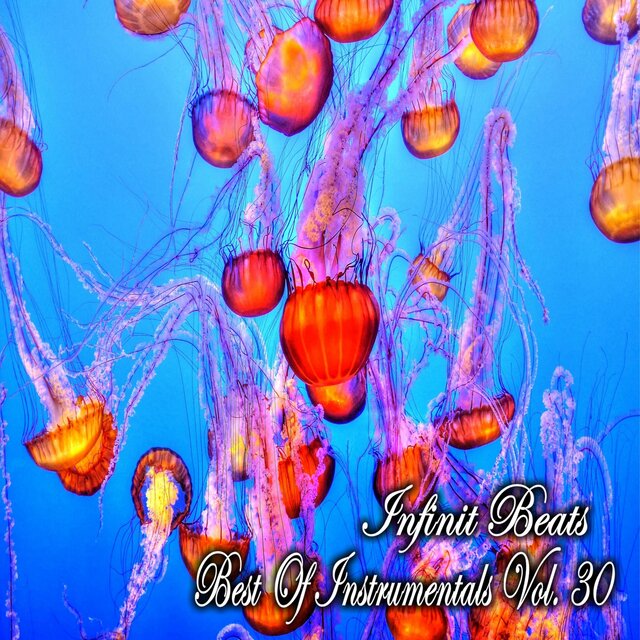 Best Of Instrumentals, Vol. 30