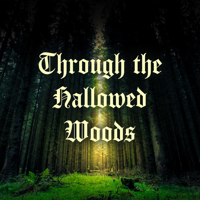 Through the Hallowed Woods (Mystical Dungeon Synth for Tabletop RPG)