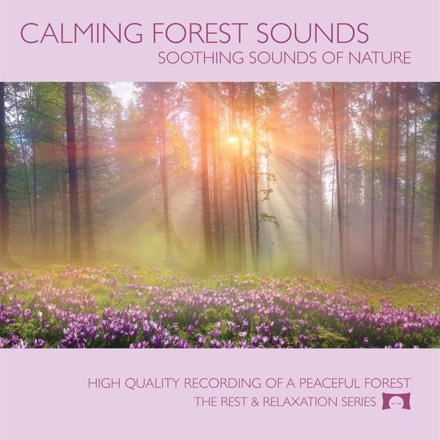 Calming Forest Sounds