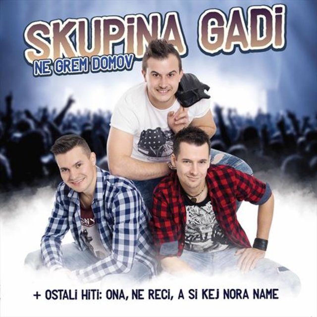 Ne grem domov
