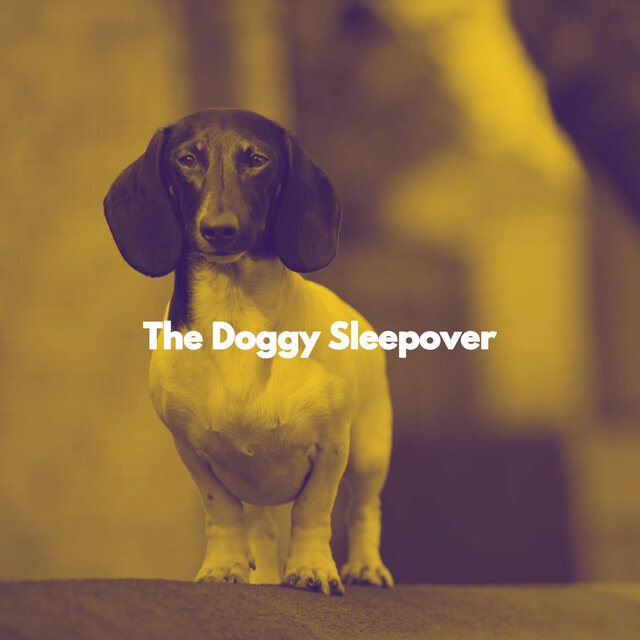 The Doggy Sleepover