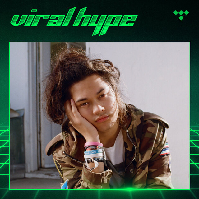 Cover art for album Viral Hype by TIDAL