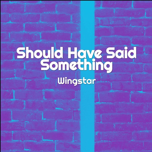 Should Have Said Something