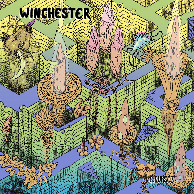 Cover art for album Liquid Crystal State by Adam Winchester