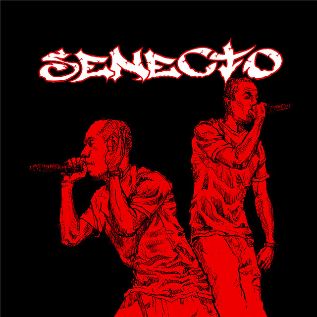 Senecto
