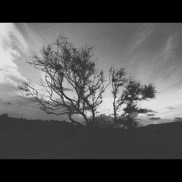 Dust On The Wind
