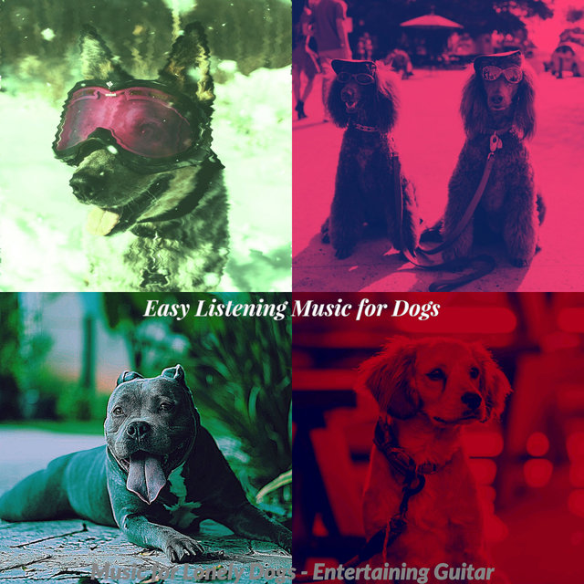 Music for Lonely Dogs - Entertaining Guitar