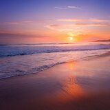 Through The Golden Light
