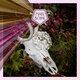 Cover art for album Alva by Mari Boine