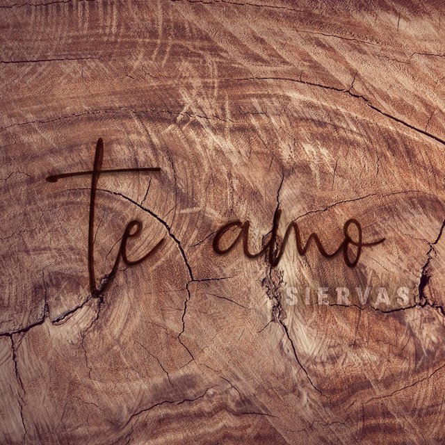 Te Amo