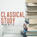 Piano Concerto No. 21 in C Major, K. 467: II. Andante