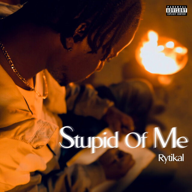 Stupid of Me