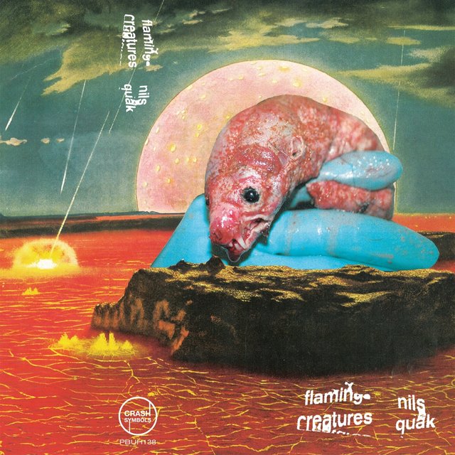 Nils Quak & Flamingo Creatures