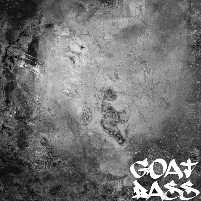 Bass