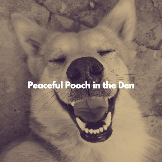 Peaceful Pooch in the Den