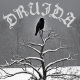 Druida
