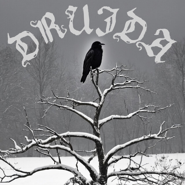 Druida