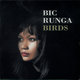 Cover art for album Birds by Bic Runga