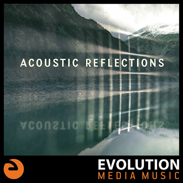 Acoustic Reflections