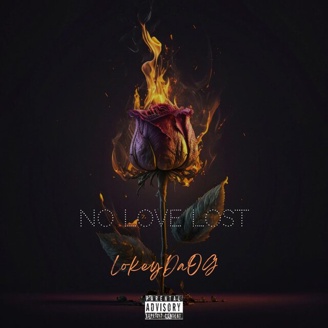 NO LOVE LOST
