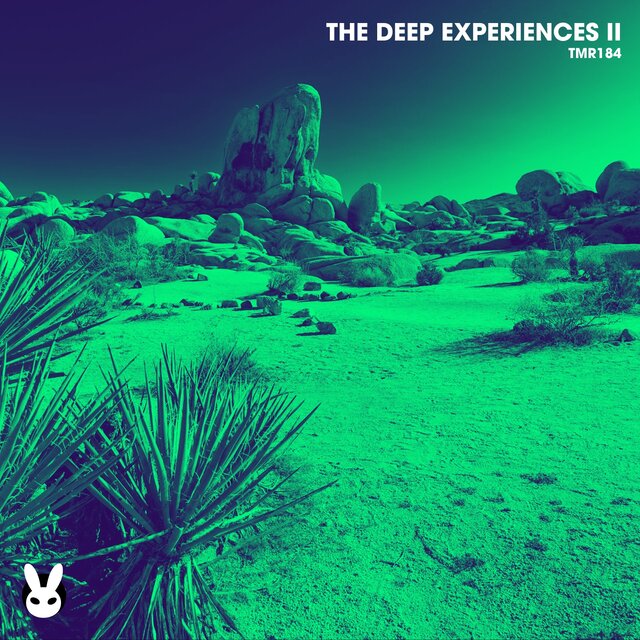 The Deep Experiences II