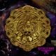 Cover art for album Supersonispeedfreak by Witches Brew