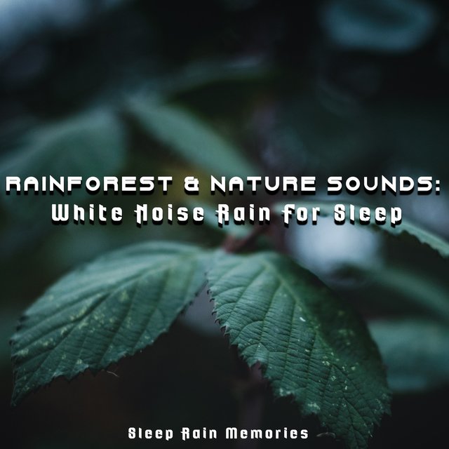 Rainforest & Nature Sounds: White Noise Rain For Sleep