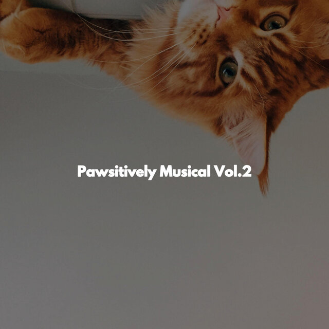Pawsitively Musical Vol.2