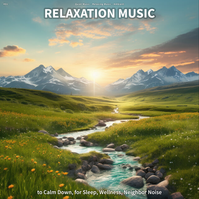 #01 Relaxation Music to Calm Down, for Sleep, Wellness, Neighbor Noise