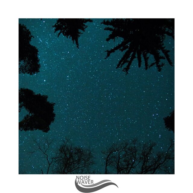 Enchanted Escape in Noise