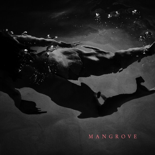 Mangrove (Instrumental EP)