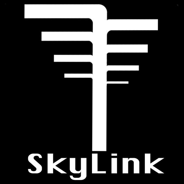 SkyLink